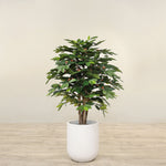 Trees-Artificial Coffee Tree <br> 120cm-Bloomr