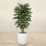 Trees-Artificial Coffee Tree <br> 180cm-Bloomr