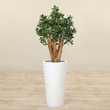 Trees-Artificial Jade Plant<br> 100cm-Bloomr