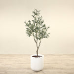 Artificial Olive Tree <br> 210cm - Bloomr