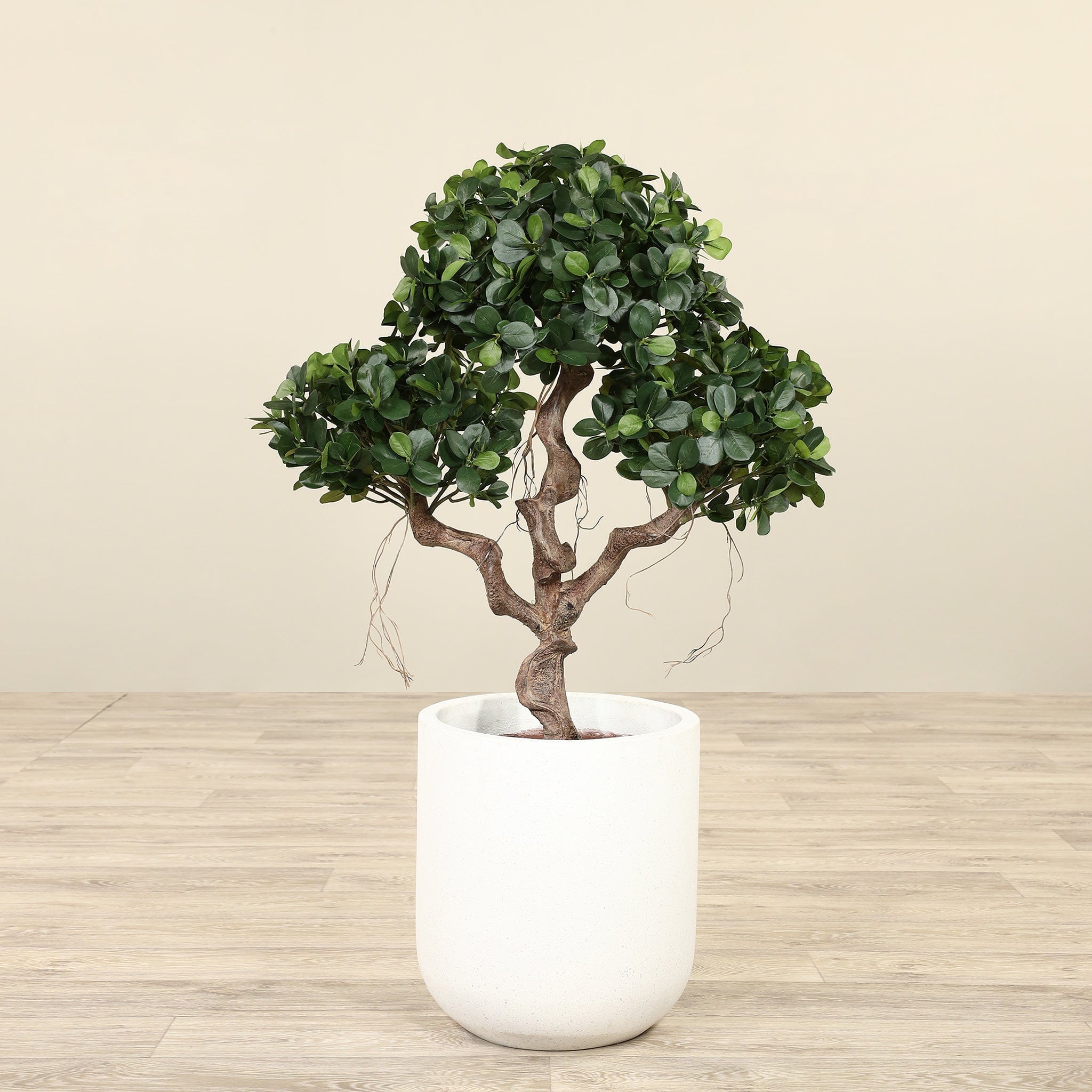 Artificial Panda Ficus Tree <br> 100cm - Bloomr