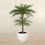 Artificial Phoenix Palm Tree <br> 240cm - Bloomr