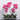 Flowers-Contemporary Artificial Orchid Arrangement-Bloomr