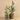 Greenery-Potted Cactus (Discontinued)-Bloomr