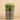 Greenery-Artificial Potted Succulent (Discontinued)-Bloomr