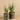 Plants-Artificial Potted Aloe (Discontinued)-Bloomr