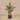 Trees-Artificial Banana Tree 125cm-Bloomr