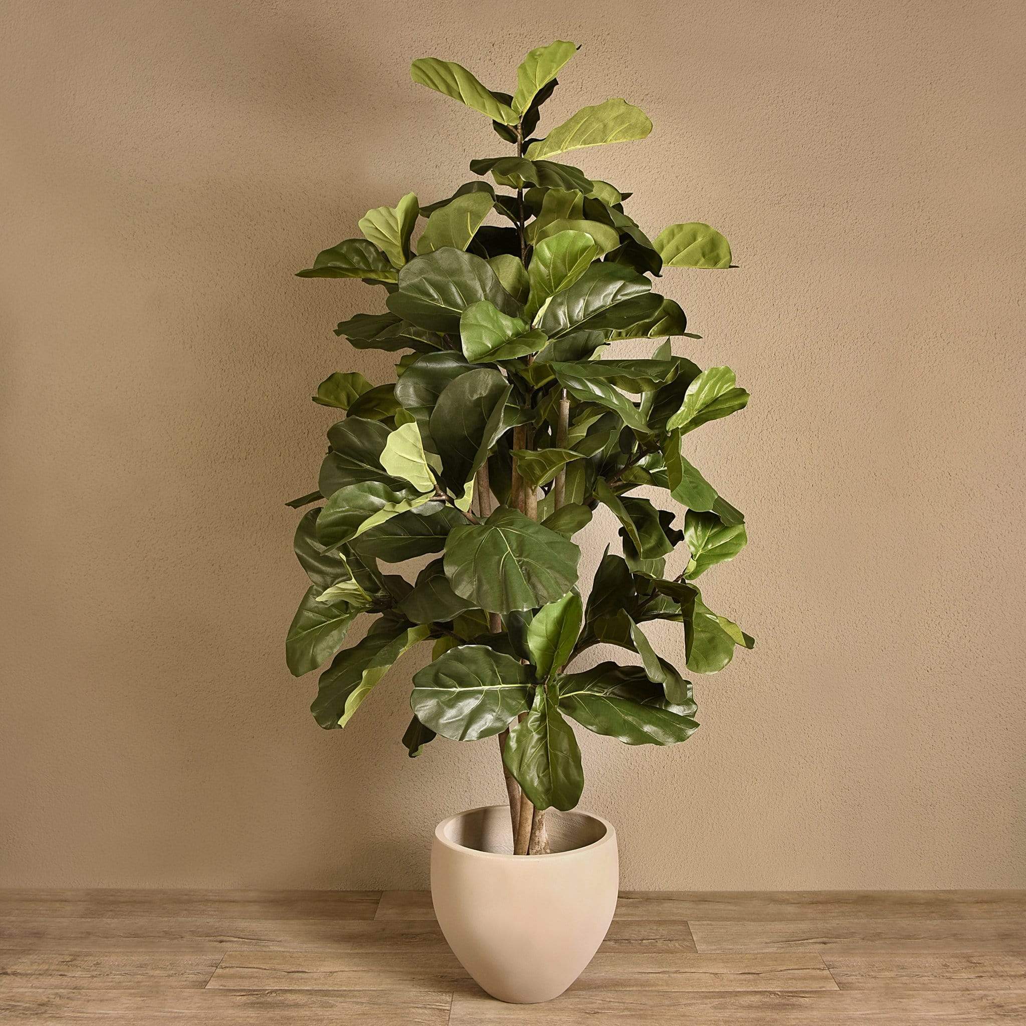 Fiddler Trees Artificial Fiddle Tree 180cm – Bloomr-Saudi