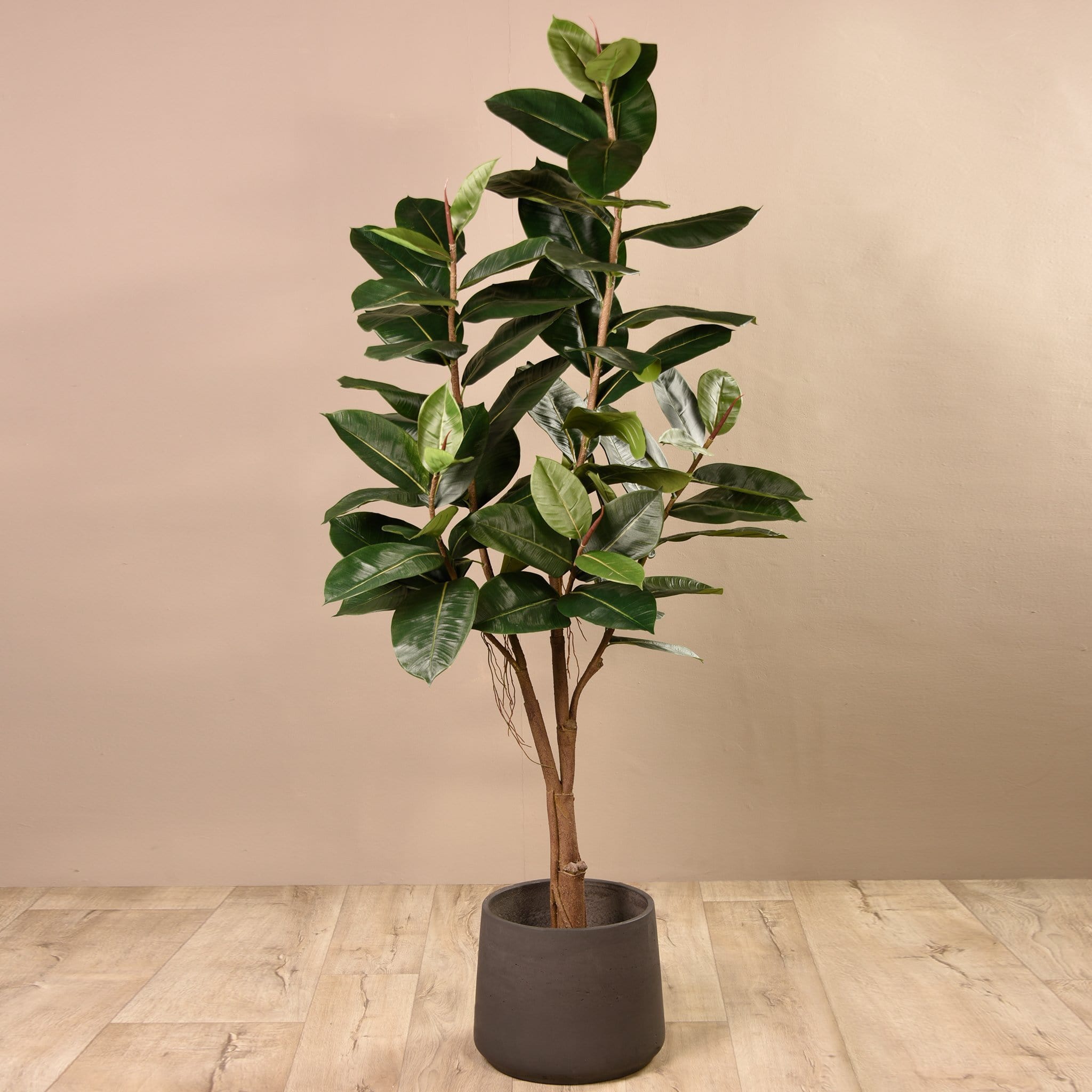 best faux rubber tree Best Artificial Rubber Plant Trees Fake Trees #1 in UAE